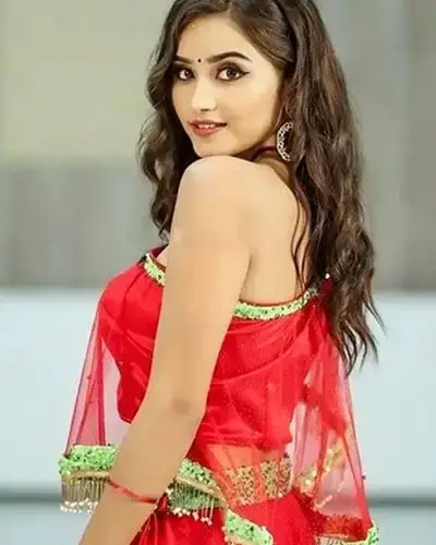 Call Girls Service Pursura